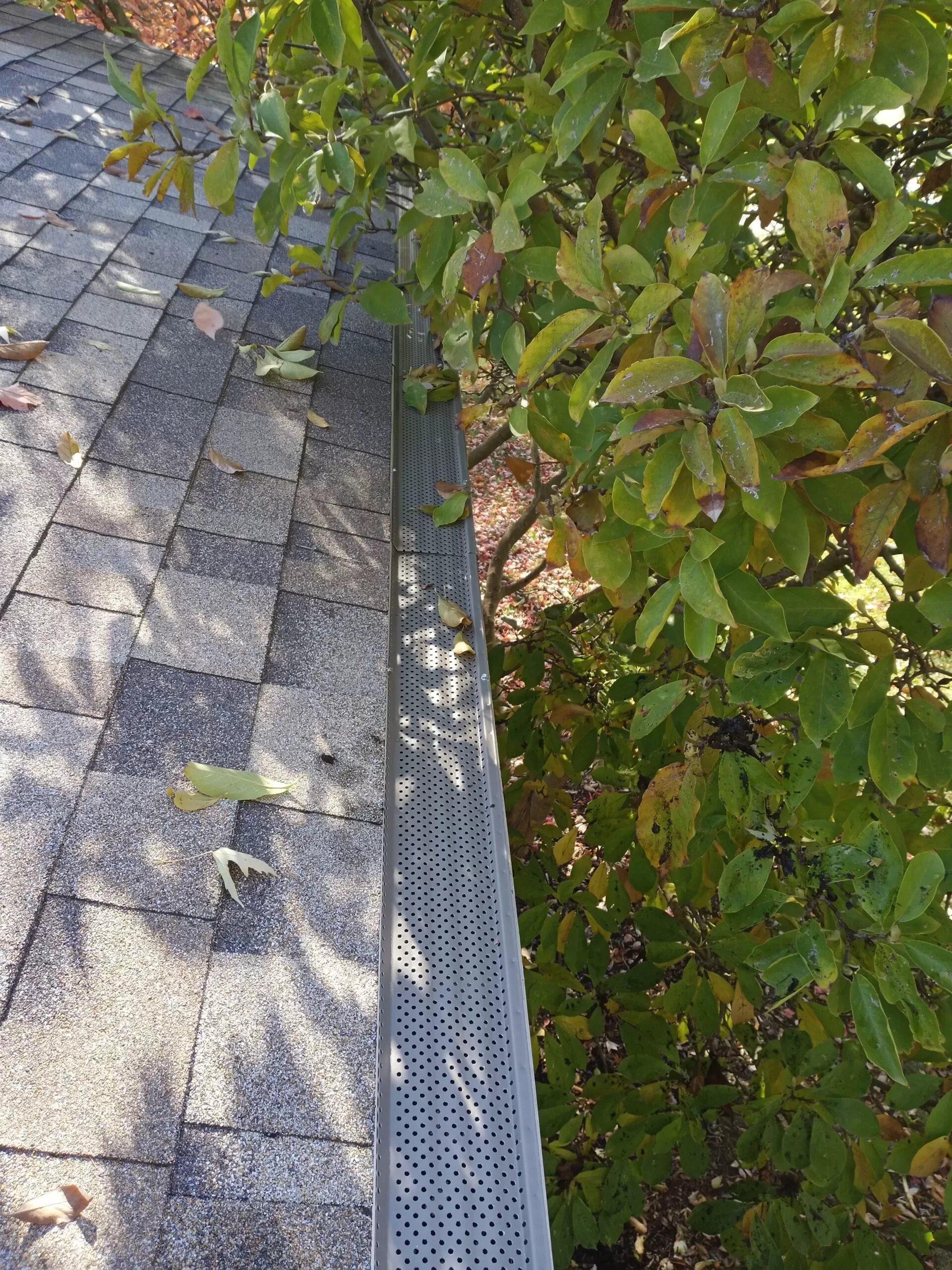 Gutter Security Gutter Protection - Gutters Are Us - Reduce Maintenance - Best Gutter ...