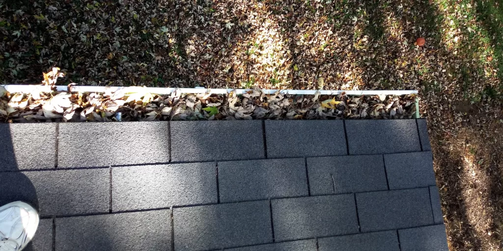 Gutter Cleaning Leaves