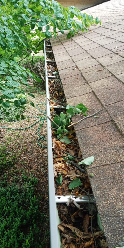 Gutter Debris